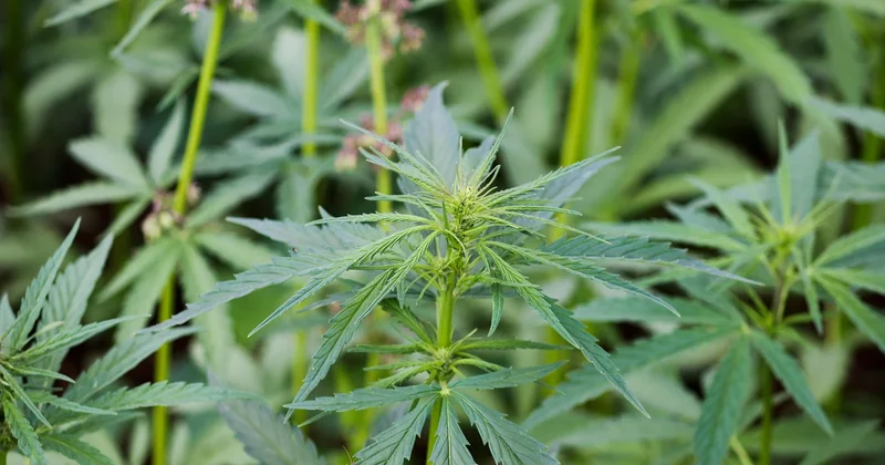 Fiches produits : le vrai problème n'est pas le SEO, c'est le contenu fournisseur