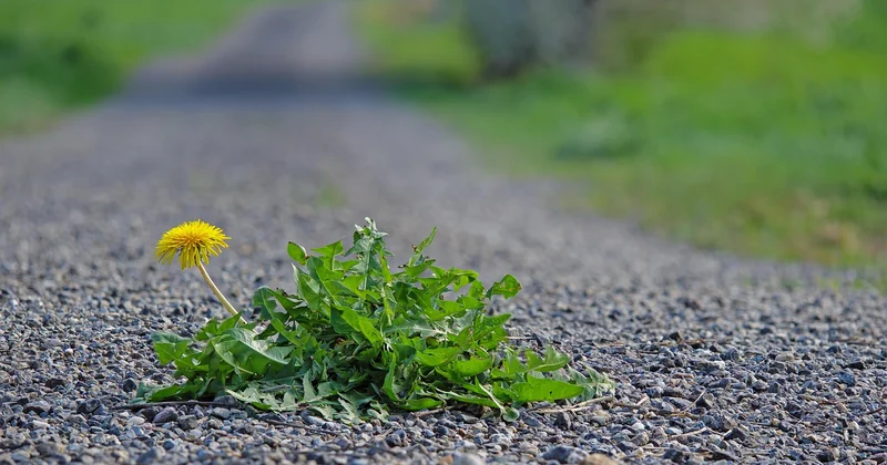 Où placer vos variantes : les emplacements qui comptent vraiment